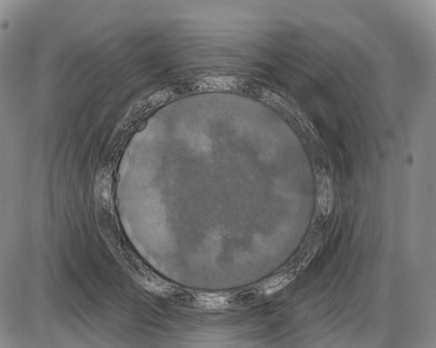 X0000085080701200704021437