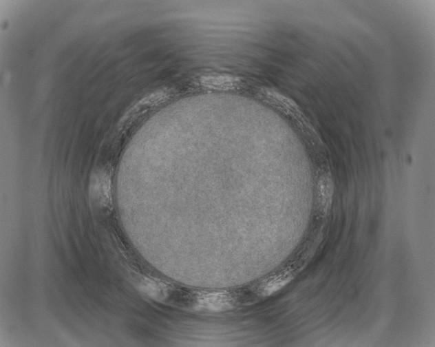 X0000085080705200704021437