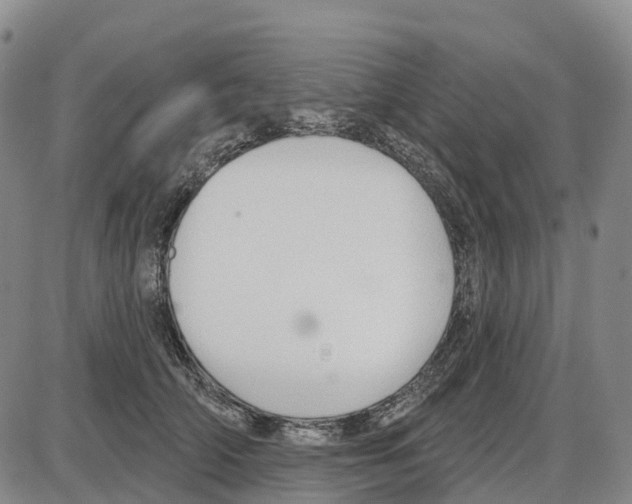 X0000085080706200704021437