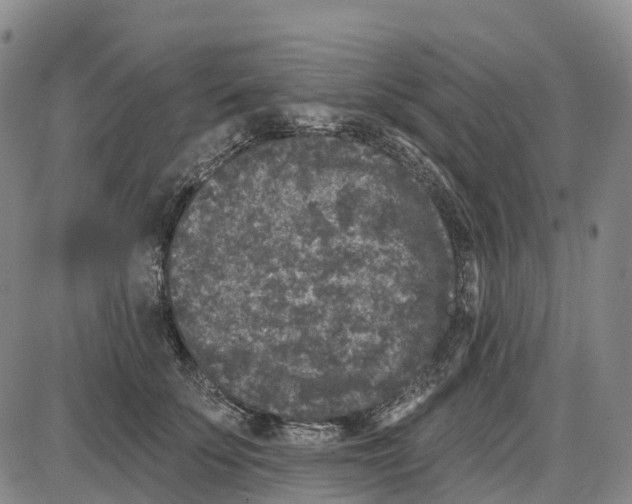 X0000085080707200704021437