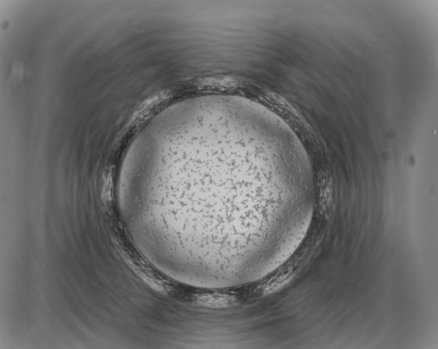 X0000085080708200704021437