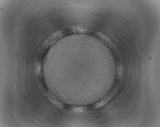 X0000085080709200704021437