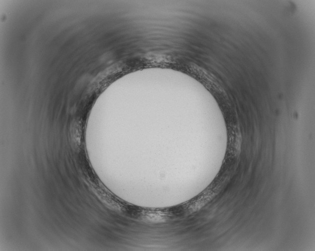 X0000085080710200704021437