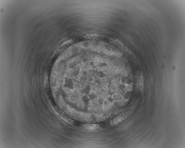 X0000085080711200704021437