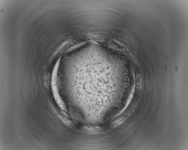 X0000085080712200704021437