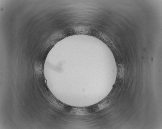 X0000085080713200704021437