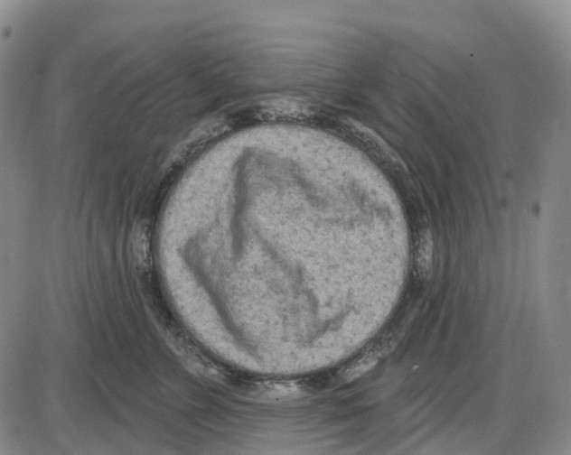 X0000085080715200704021437