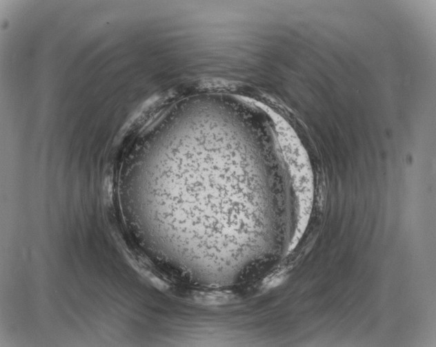 X0000085080716200704021437