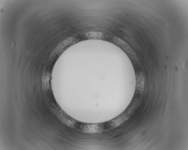 X0000085080717200704021437