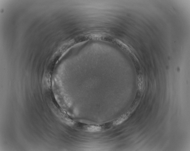 X0000085080718200704021437