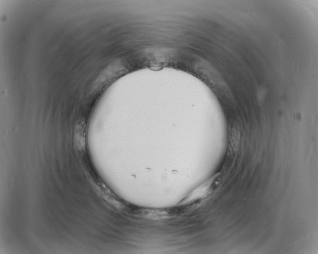 X0000085080719200704021437