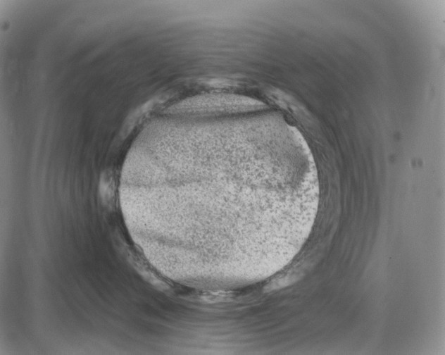 X0000085080720200704021437