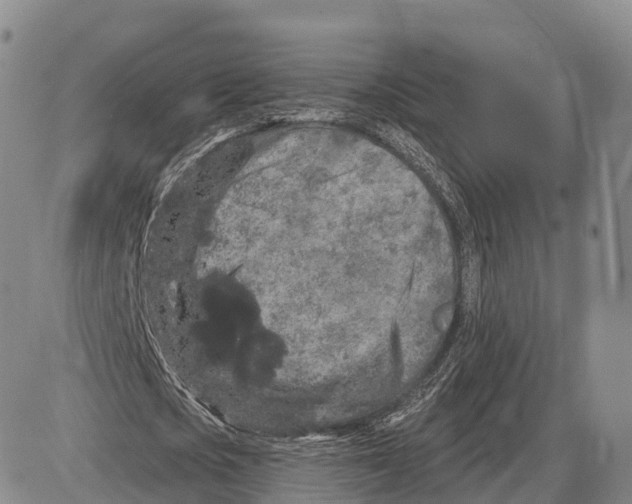 X0000085080721200704021436