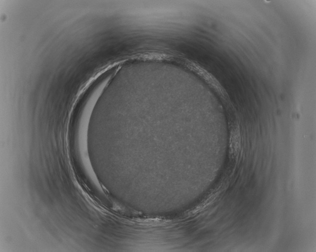 X0000085080722200704021436