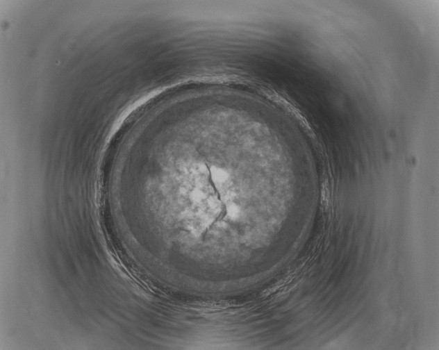 X0000085080724200704021436