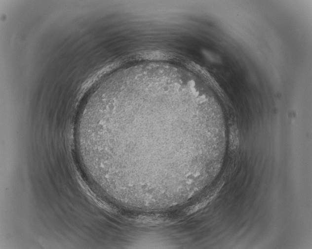 X0000085080725200704021436