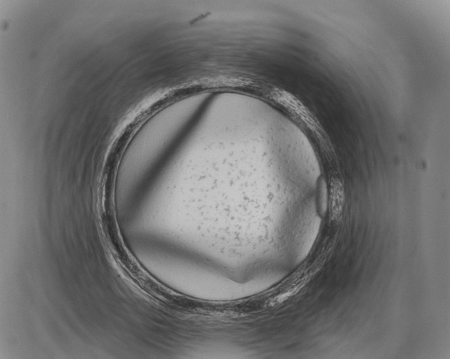 X0000085080726200704021436