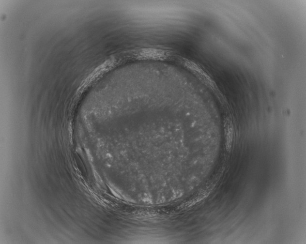 X0000085080729200704021436