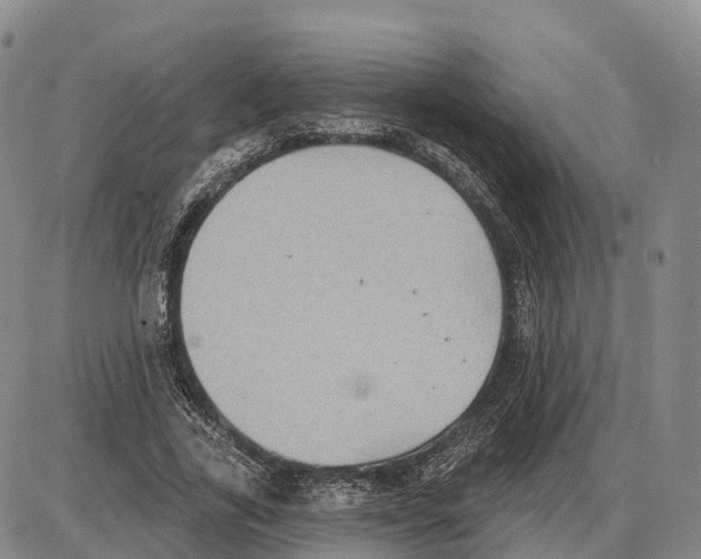 X0000085080731200704021436