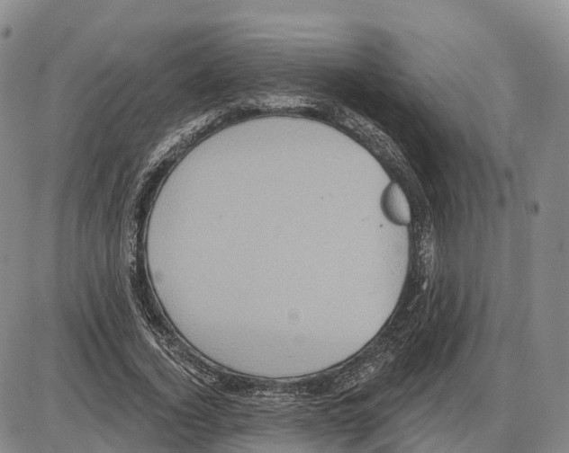 X0000085080732200704021436