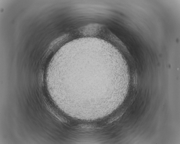 X0000085080733200704021436