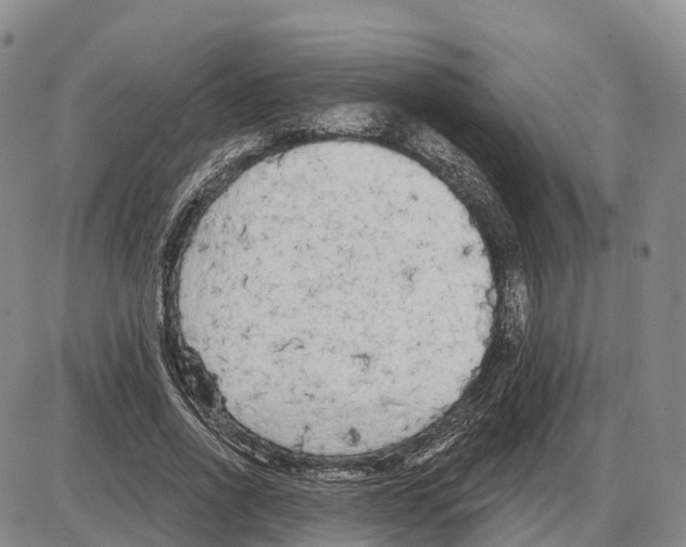 X0000085080734200704021436