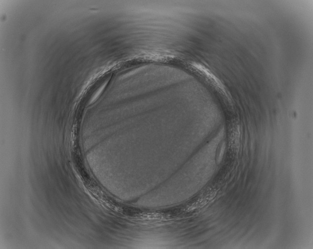 X0000085080736200704021436