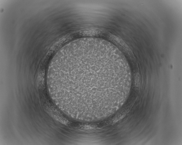 X0000085080737200704021436