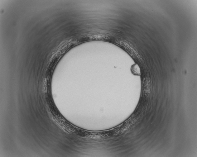 X0000085080738200704021436