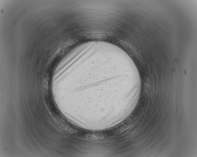 X0000085080739200704021436