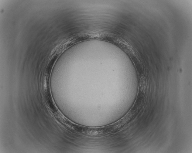 X0000085080740200704021436