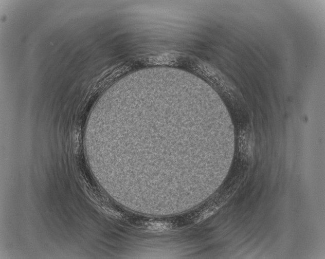 X0000085080741200704021436