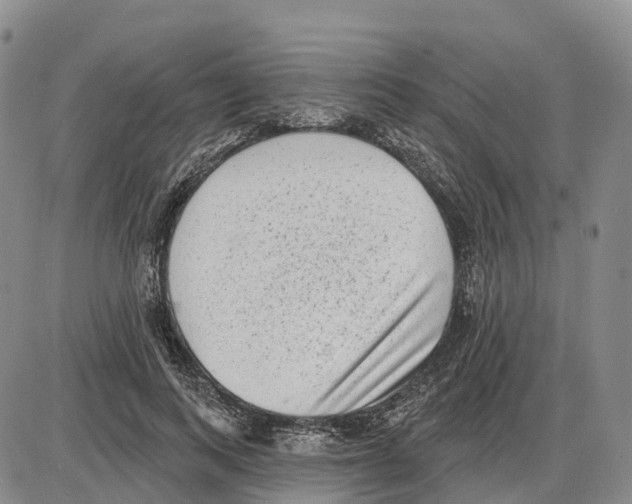 X0000085080743200704021436