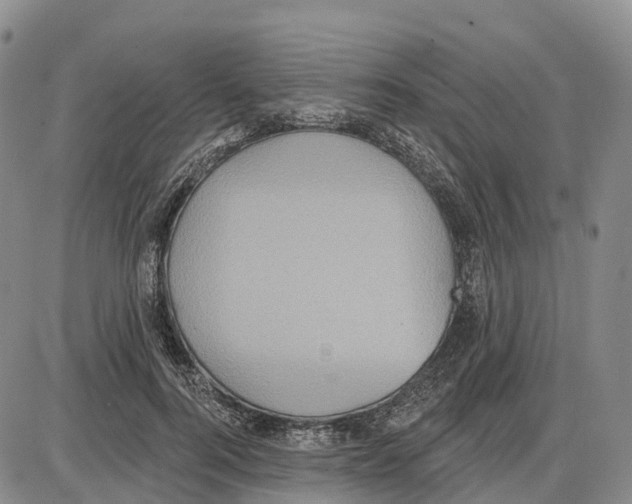 X0000085080744200704021436