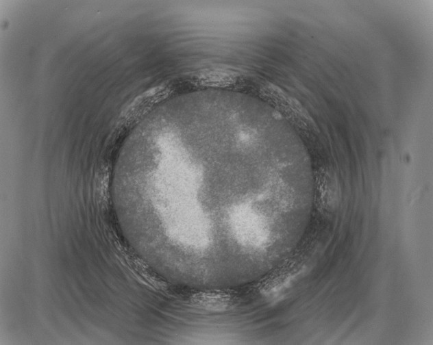 X0000085080745200704021436