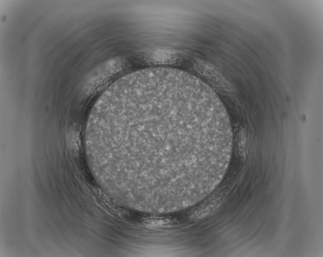 X0000085080746200704021436