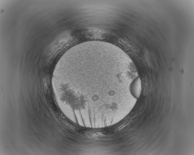X0000085080747200704021436