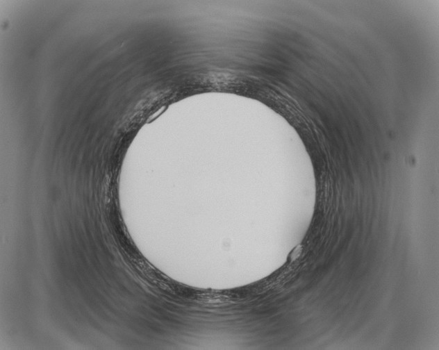 X0000085080750200704021436