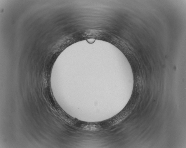 X0000085080751200704021436