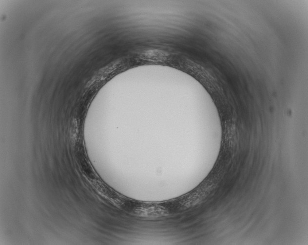 X0000085080752200704021436