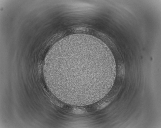 X0000085080753200704021436