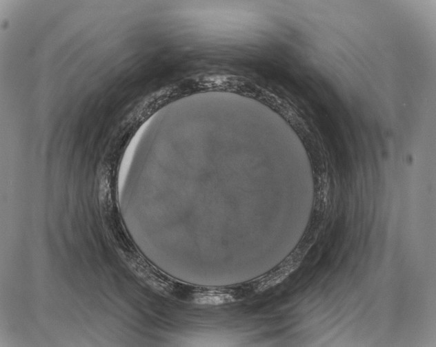 X0000085080754200704021436