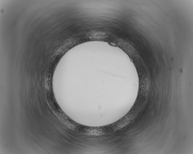 X0000085080755200704021436