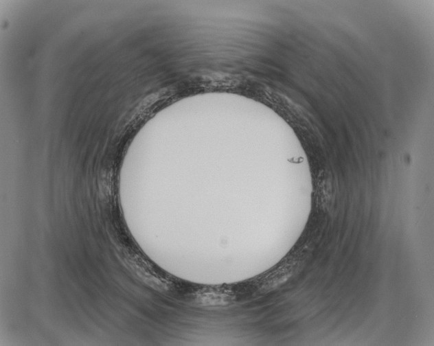 X0000085080756200704021436