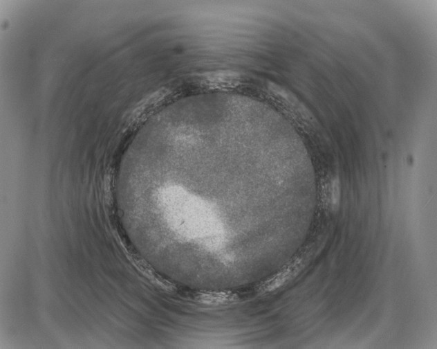 X0000085080757200704021436