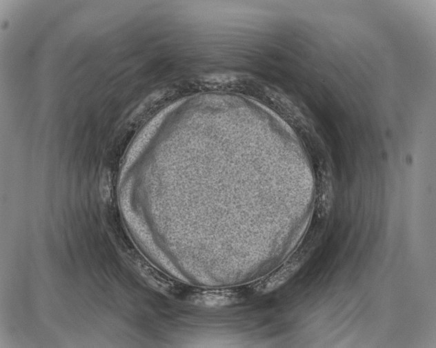 X0000085080758200704021436