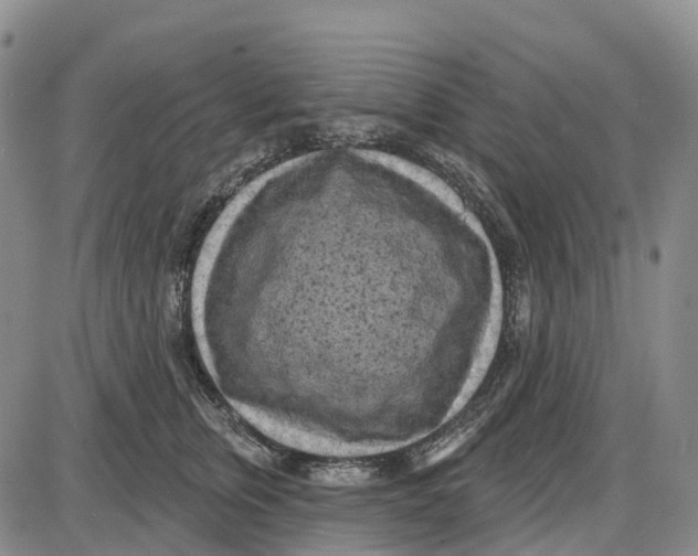 X0000085080759200704021436