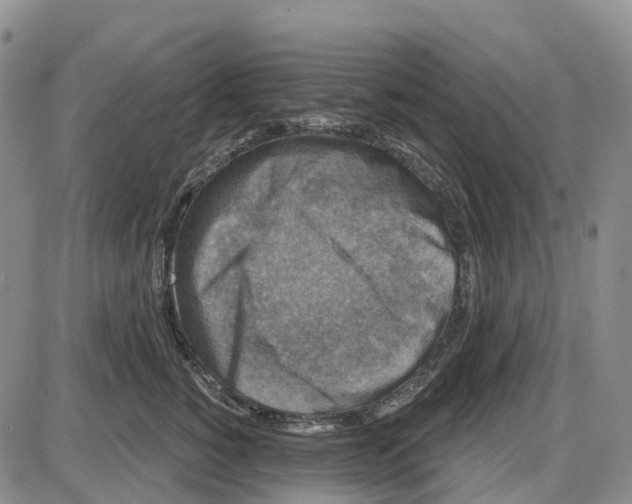 X0000085080760200704021436