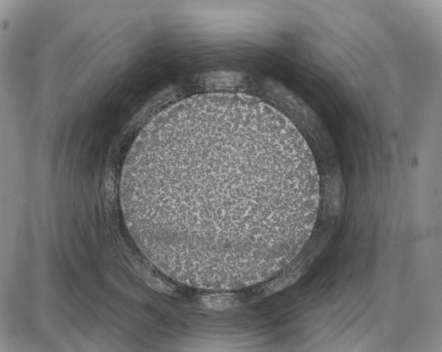 X0000085080761200704021436