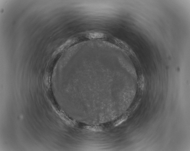 X0000085080763200704021436